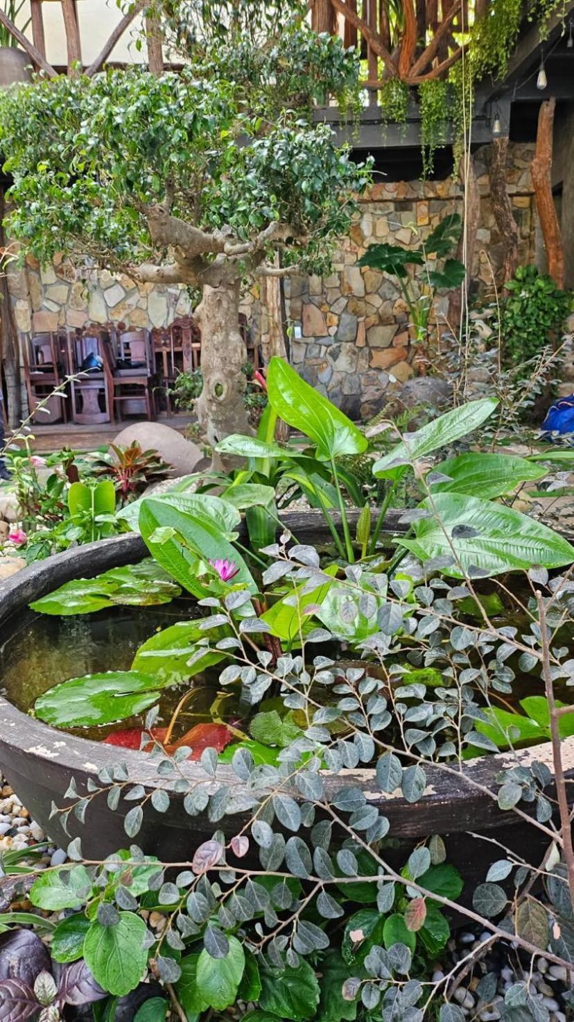 Phoenix Hotel An Bang Beach Hoi An Dış mekan fotoğraf